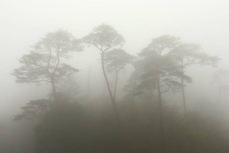 霧雨の霧島