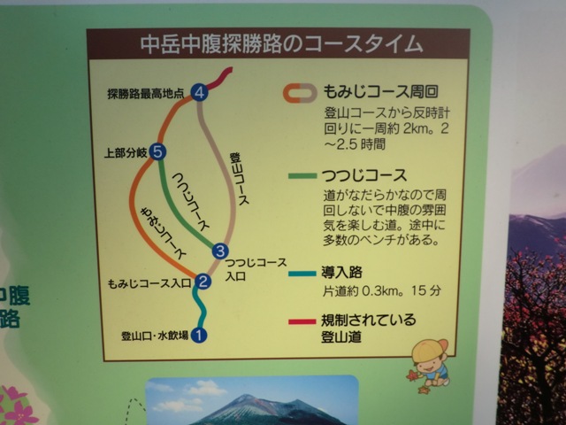 中岳中腹探勝路モミジコースと県道１０４号線