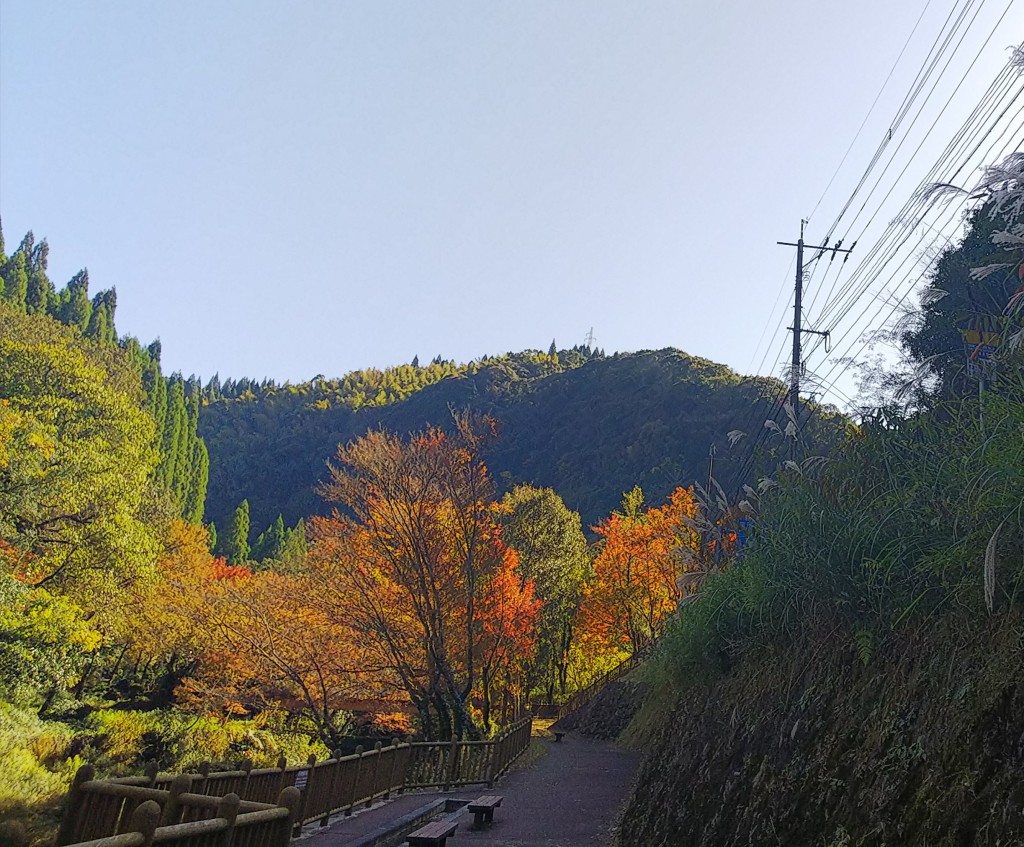 新川渓谷遊歩道の紅葉