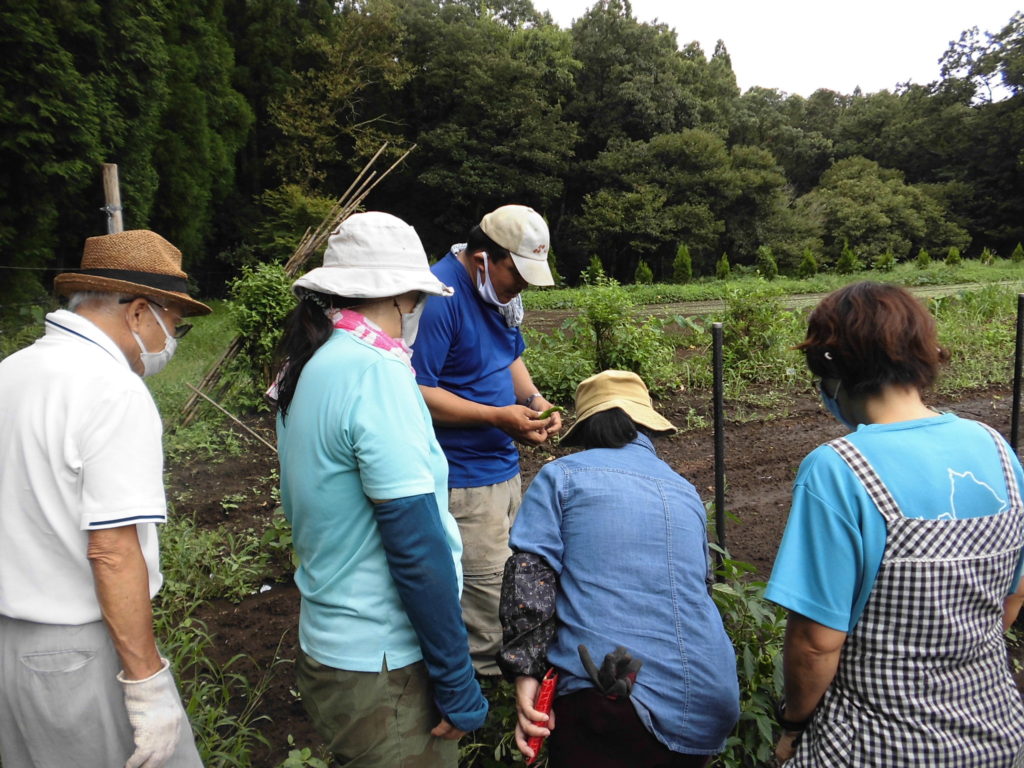 Kirishima　Community Garden Project 番外編①開催しました！