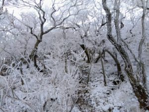 韓国岳雪景色