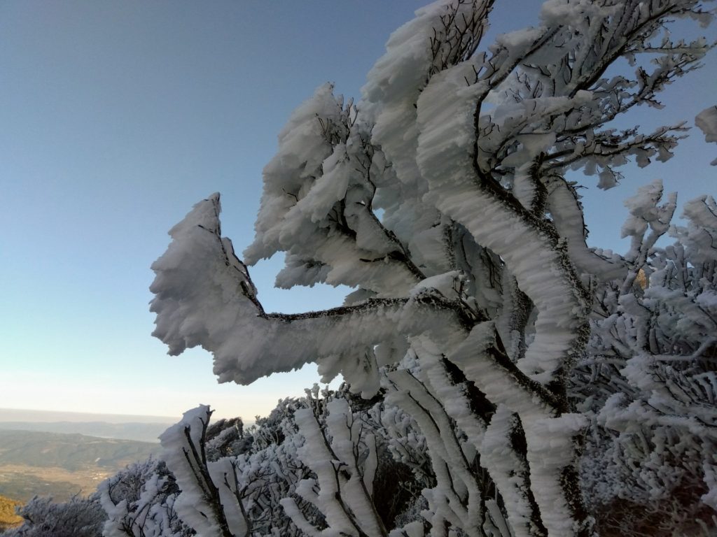 韓国岳雪景色
