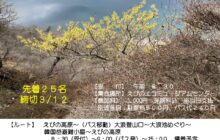 初春のきりしま山歩（3/20マンサク）