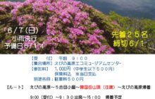 初夏のきりしま山(さん)歩(ぽ)　「韓国岳に登ろう」