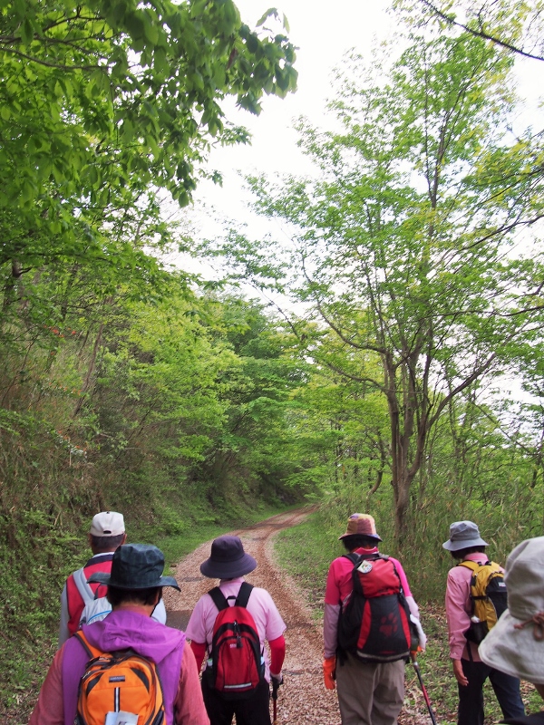 森林セラピー体験ウォーキングin柳ヶ平散策路に参加してきました☆