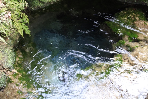 神秘的な湧き水 霧島市観光協会