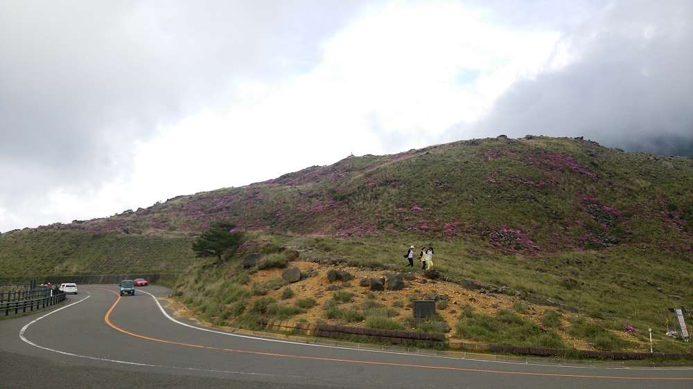 えびの高原のミヤマキリシマ　５月２６日