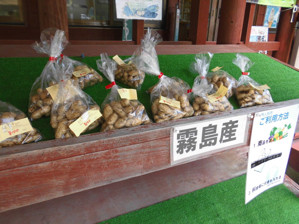 Kirishima Community Garden Projectの苗販売開始しました！
