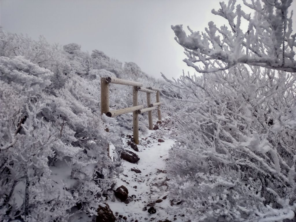 樹氷が綺麗な韓国岳