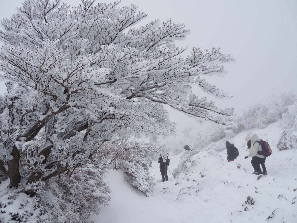 雪の韓国岳２０２２年１２月１８日