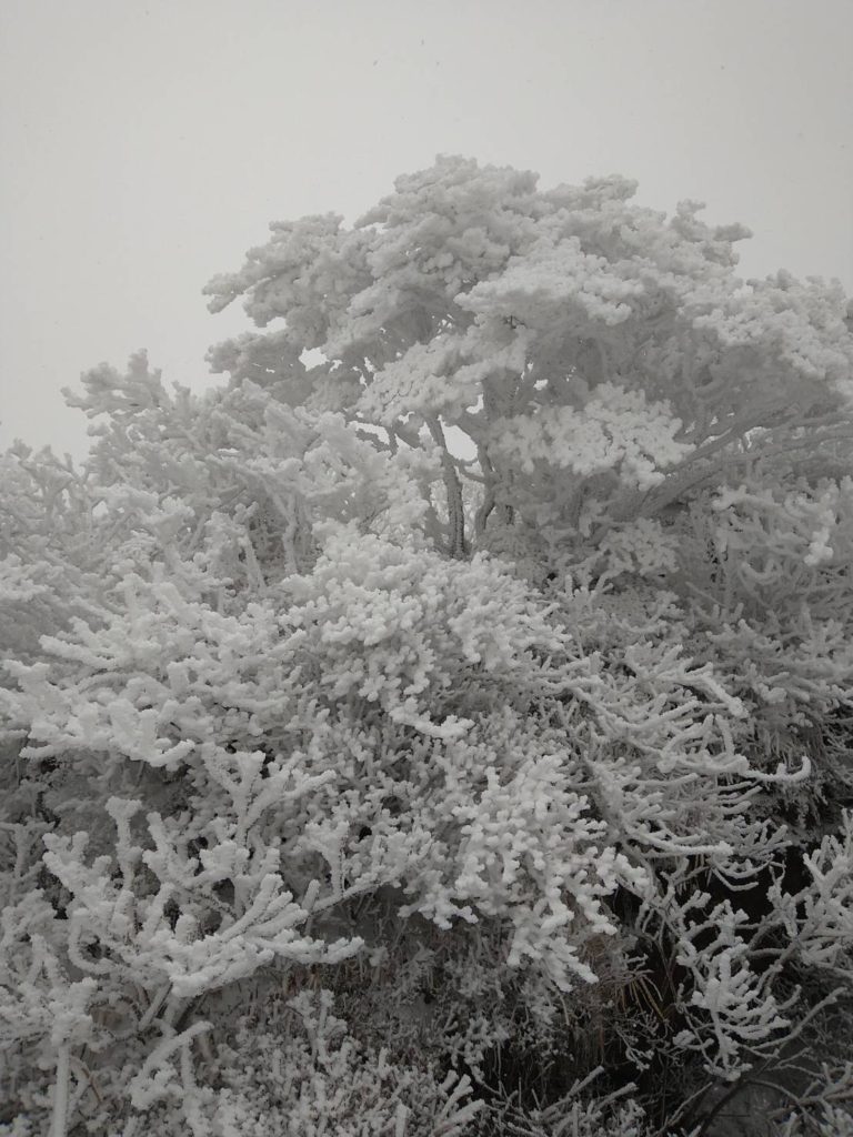 雪の韓国岳２０２２年１２月１８日