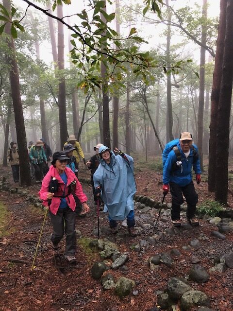 白鳥山ナイトトレッキングに参加してきました！