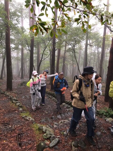 白鳥山ナイトトレッキングに参加してきました！