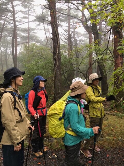 白鳥山ナイトトレッキングに参加してきました！