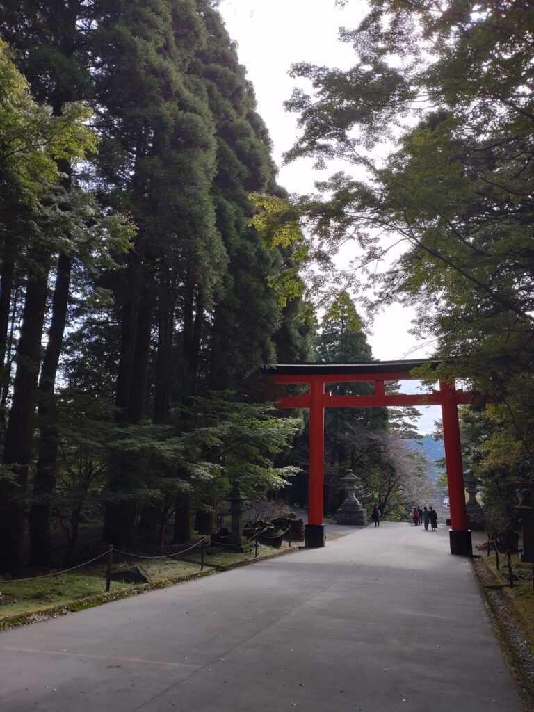 霧島神宮⛩紅葉情報🍁