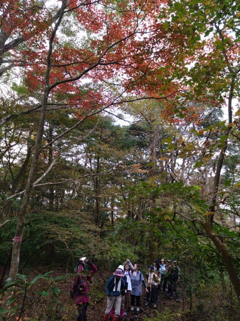 霧島市ふるさとガイドクラブ「古道・御岳道」が催行されました。