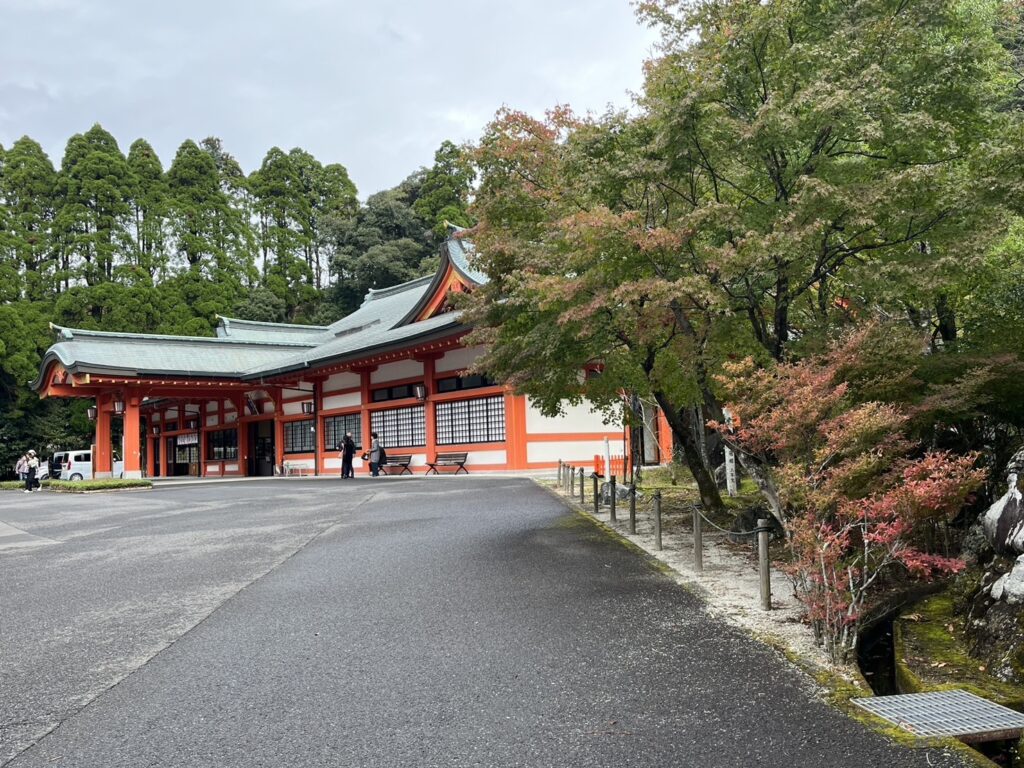 霧島神宮付近紅葉情報(11/10)