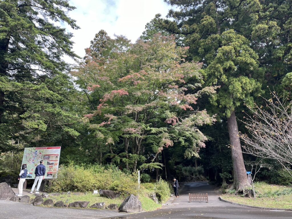 霧島神宮付近紅葉情報(11/10)