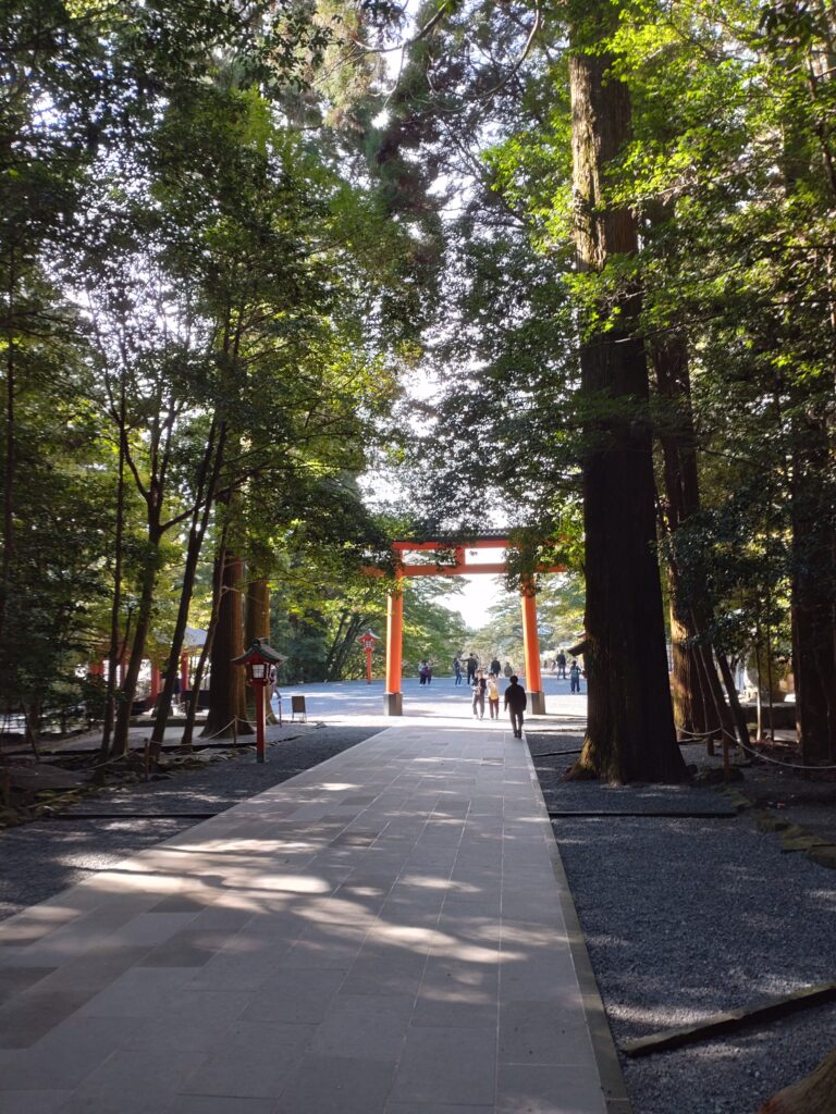 霧島神宮⛩紅葉情報🍁