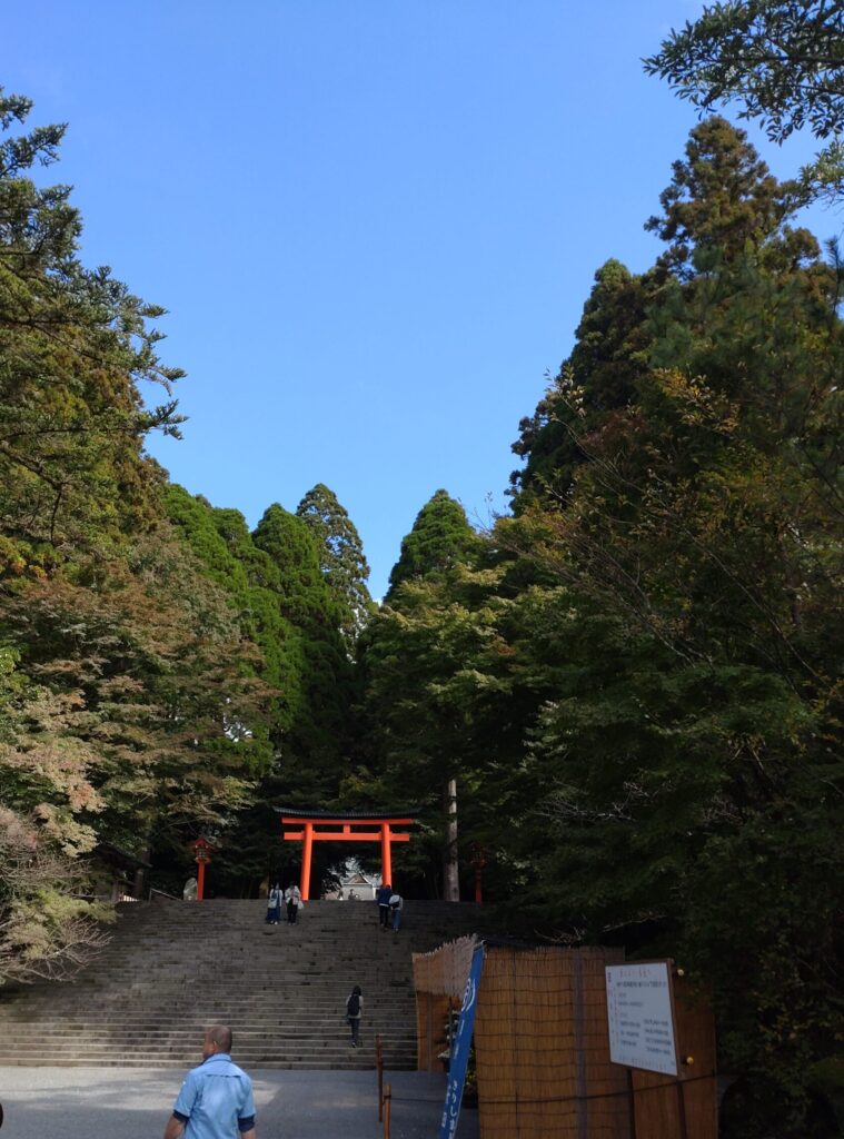 霧島神宮⛩紅葉情報🍁