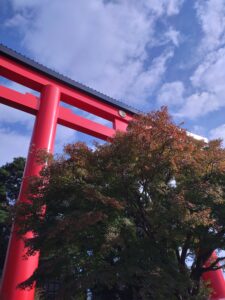 霧島神宮⛩紅葉情報🍁