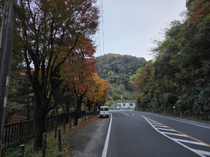国道２２３号線の紅葉が見頃を迎えました！