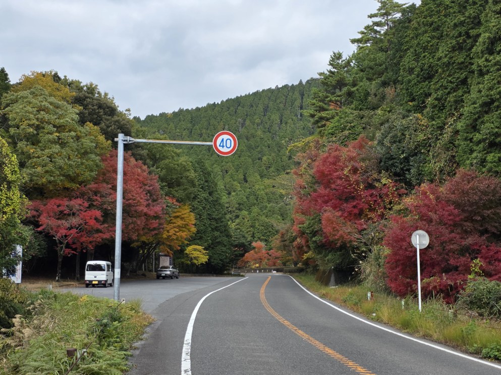 国道２２３号線の紅葉が見頃を迎えました！