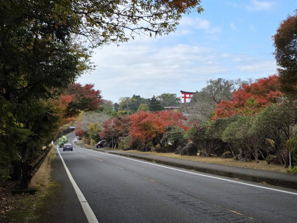 国道２２３号線の紅葉が見頃を迎えました！