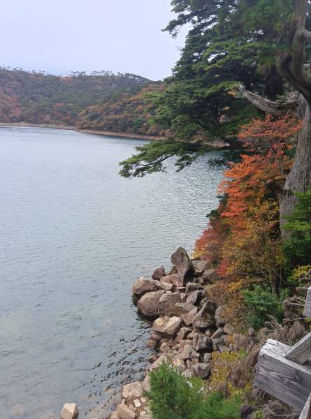 えびの高原　六観音御池の紅葉が見頃を迎えています