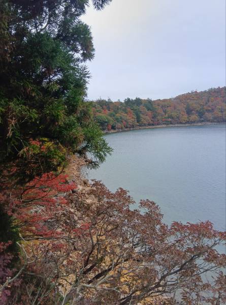 えびの高原　六観音御池の紅葉が見頃を迎えています