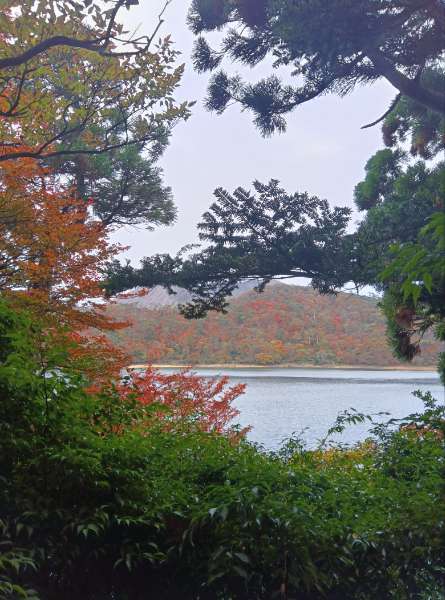 えびの高原　六観音御池の紅葉が見頃を迎えています