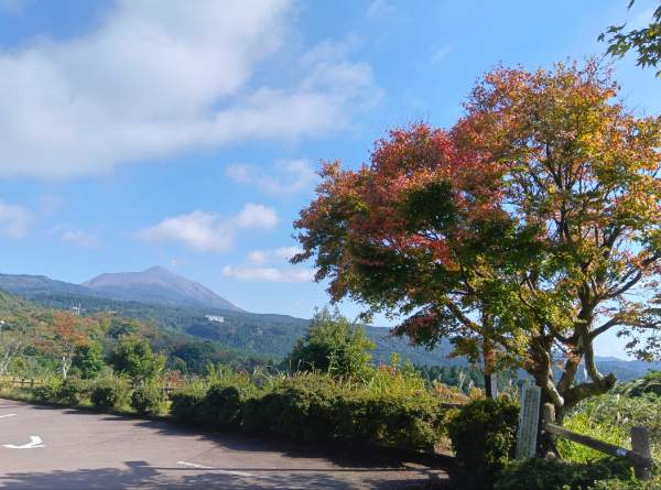 紅葉情報（11月14日現在）