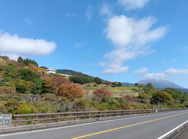 紅葉情報（11月14日現在）