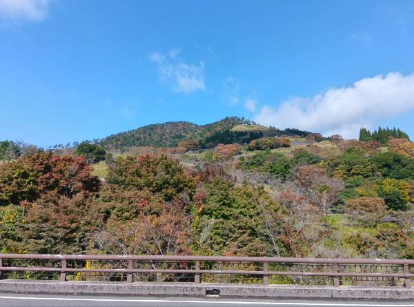 紅葉情報（11月14日現在）