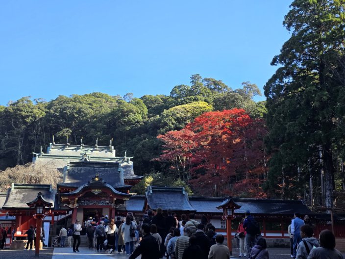【１１月下旬】霧島神宮の紅葉レポート