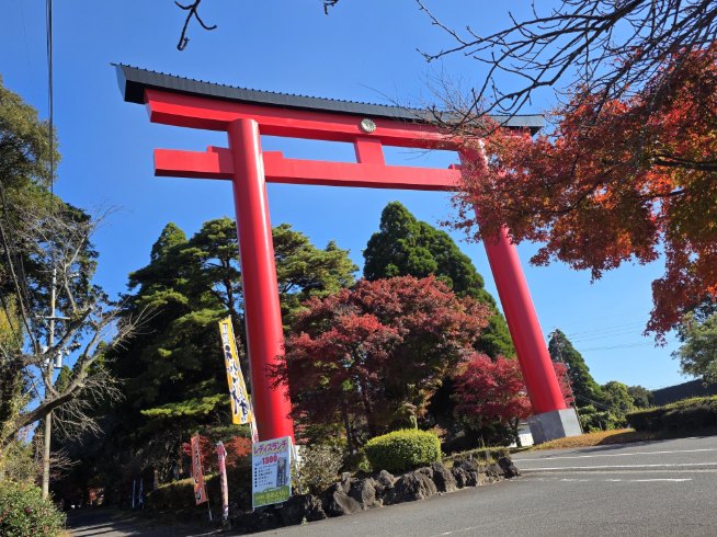 【１１月下旬】霧島神宮の紅葉レポート