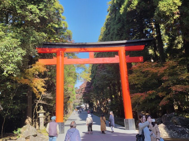 【１１月下旬】霧島神宮の紅葉レポート