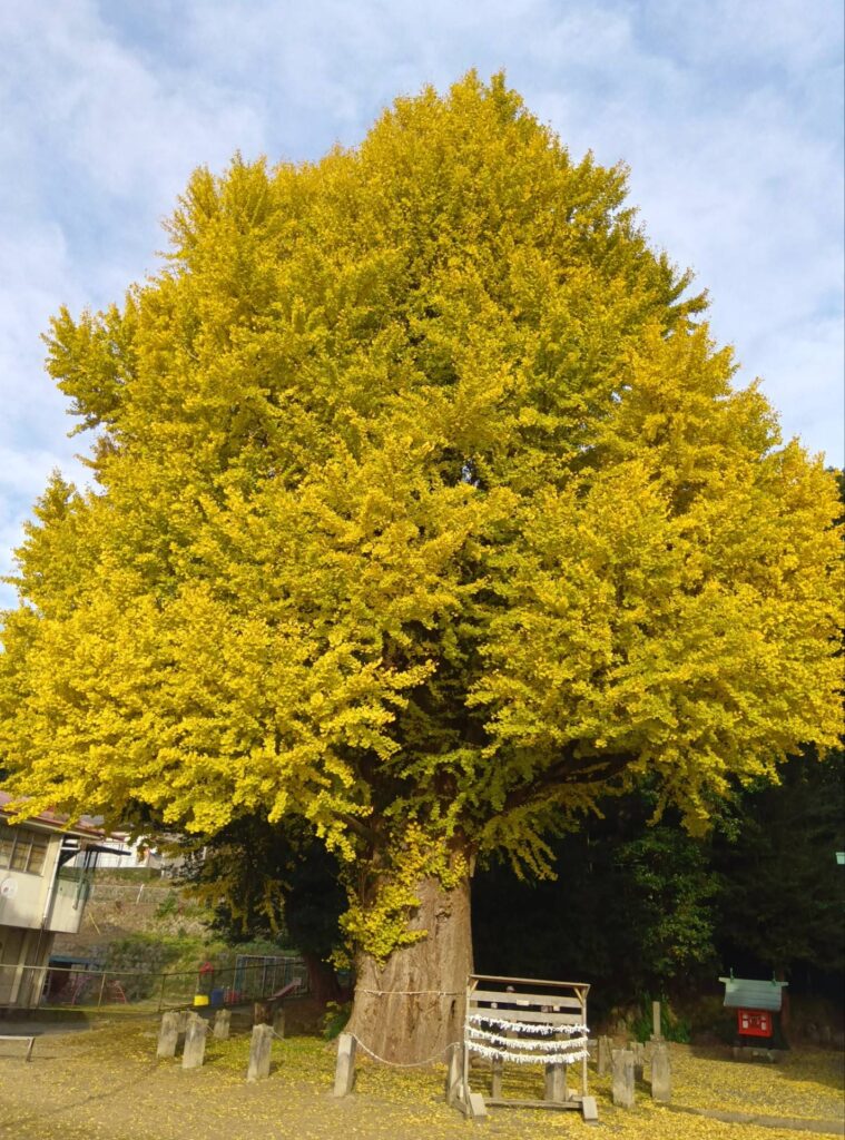 旬の情報をお届けします!