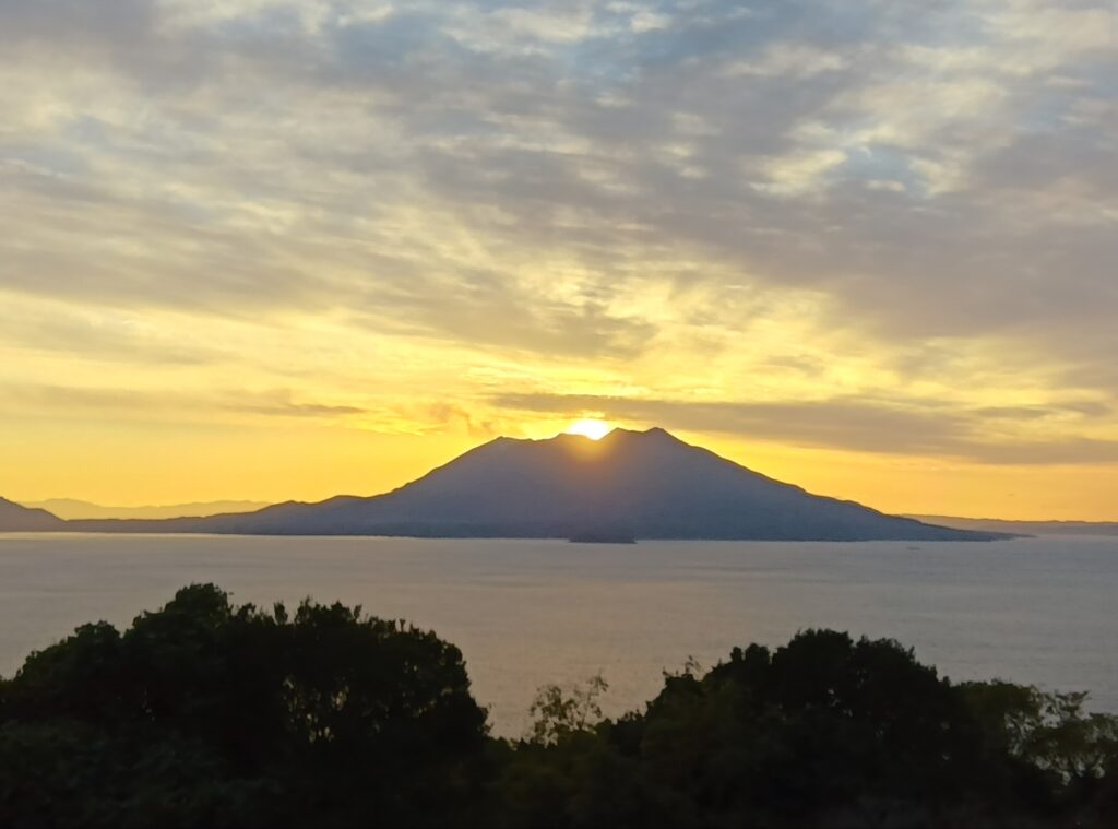 旬の情報をお届けします!