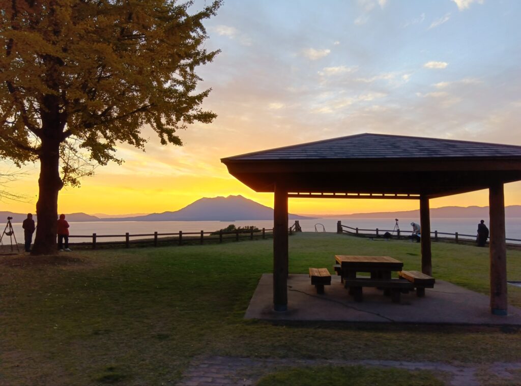 旬の情報をお届けします!