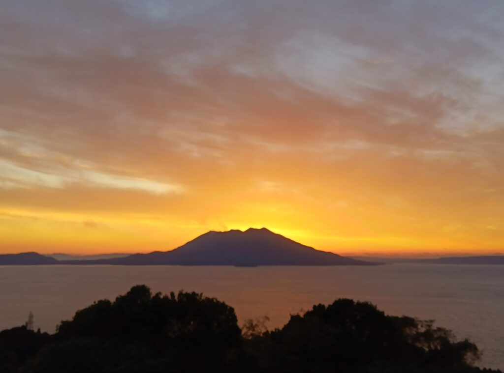 旬の情報をお届けします!