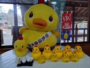 きりしまゆ旅　第121代目横綱誕生です！