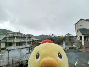 Today’s Situation at Kirishima Onsen Market and Road Conditions (Jan. 11, 2026)