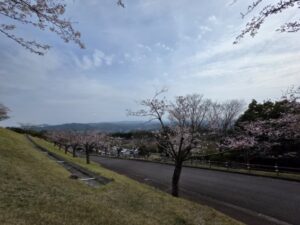 神話の里公園「桜の集い」が開催されました