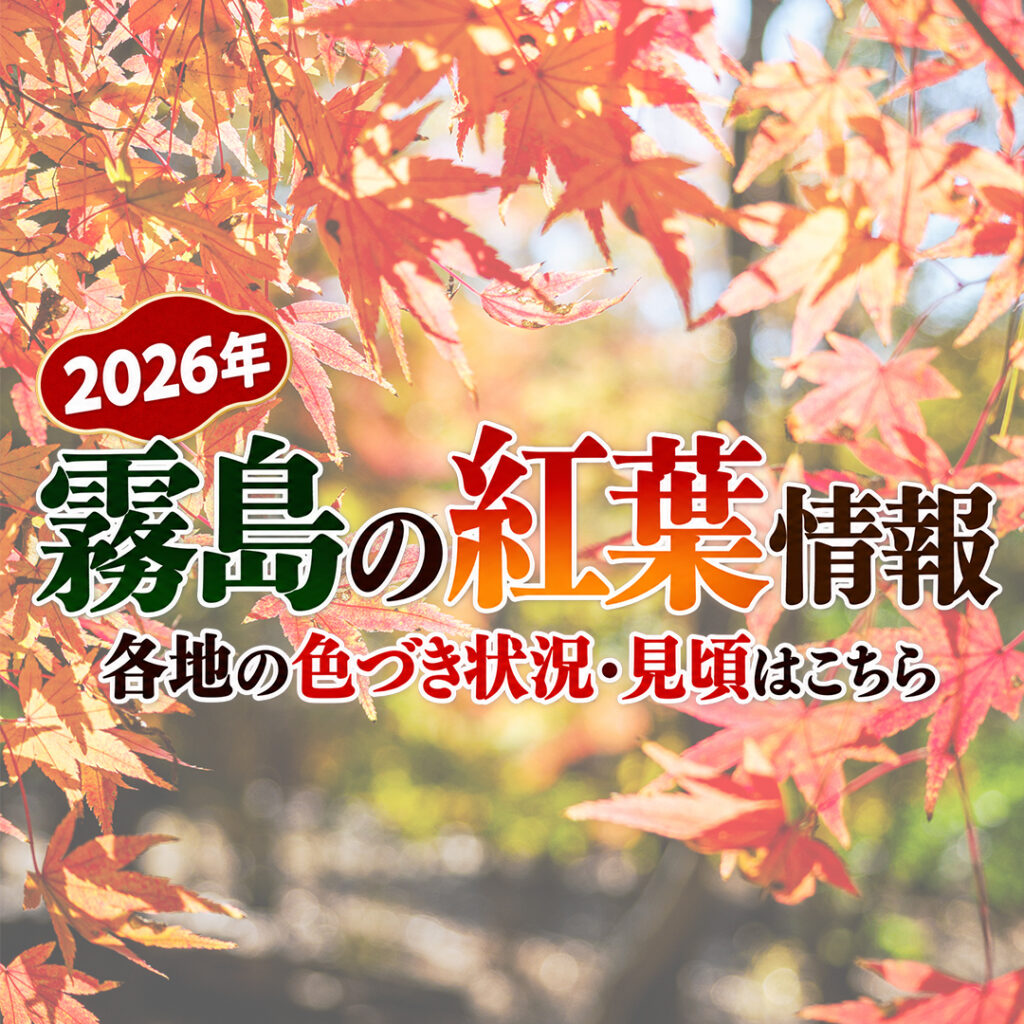 【2026年】霧島の紅葉情報｜各地の色づき状況・見頃はこちら