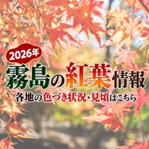 【2026年】霧島の紅葉情報｜各地の色づき状況・見頃はこちら