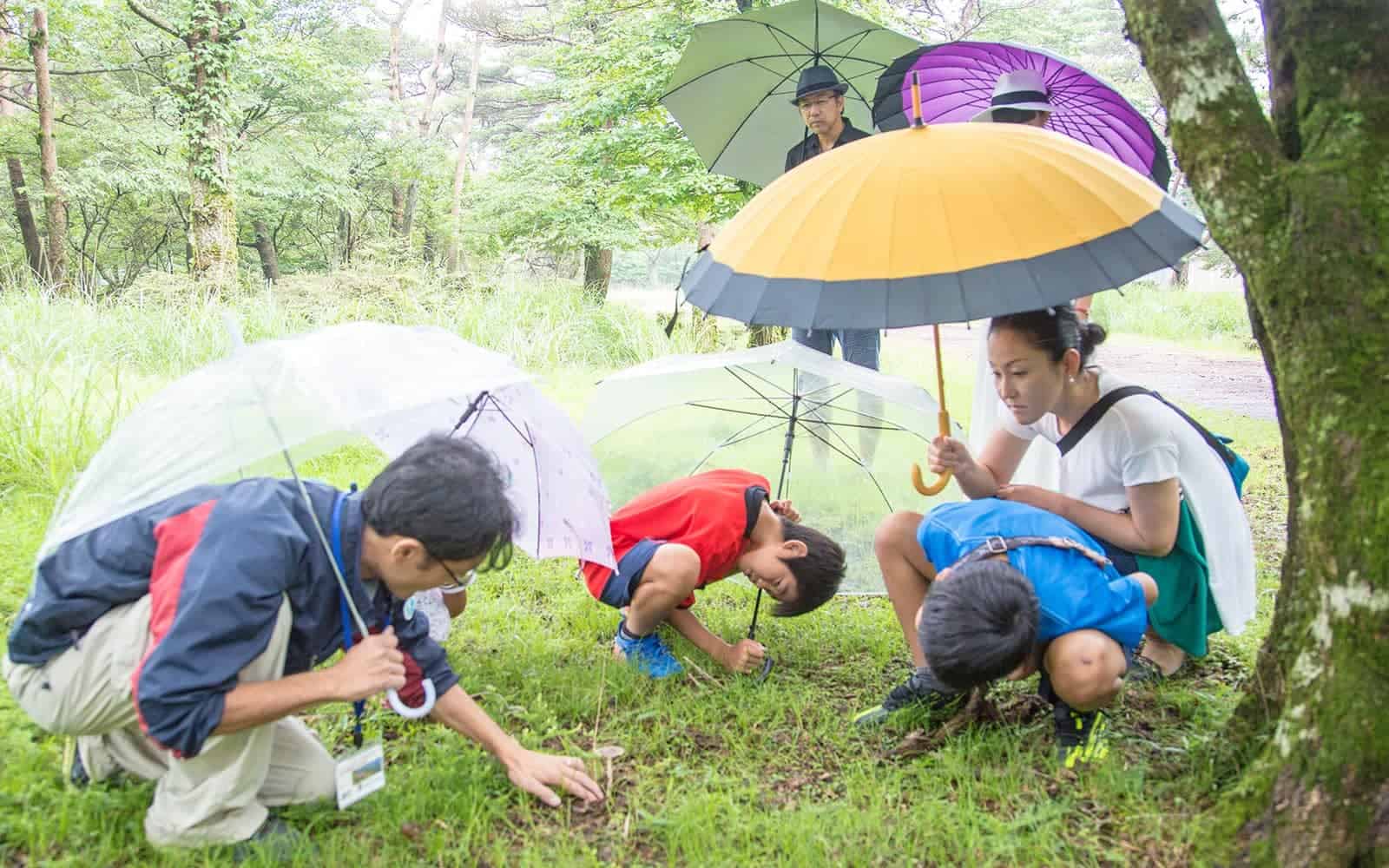 霧島観光 えびのエコミュージアムセンター