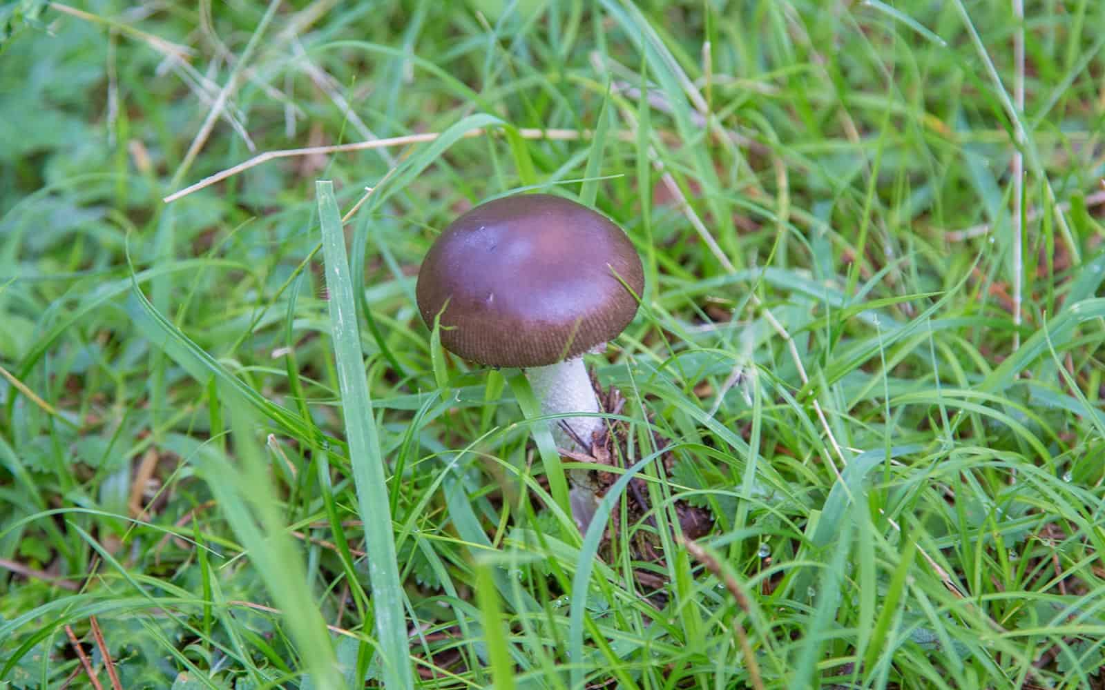 霧島観光 えびのエコミュージアムセンター