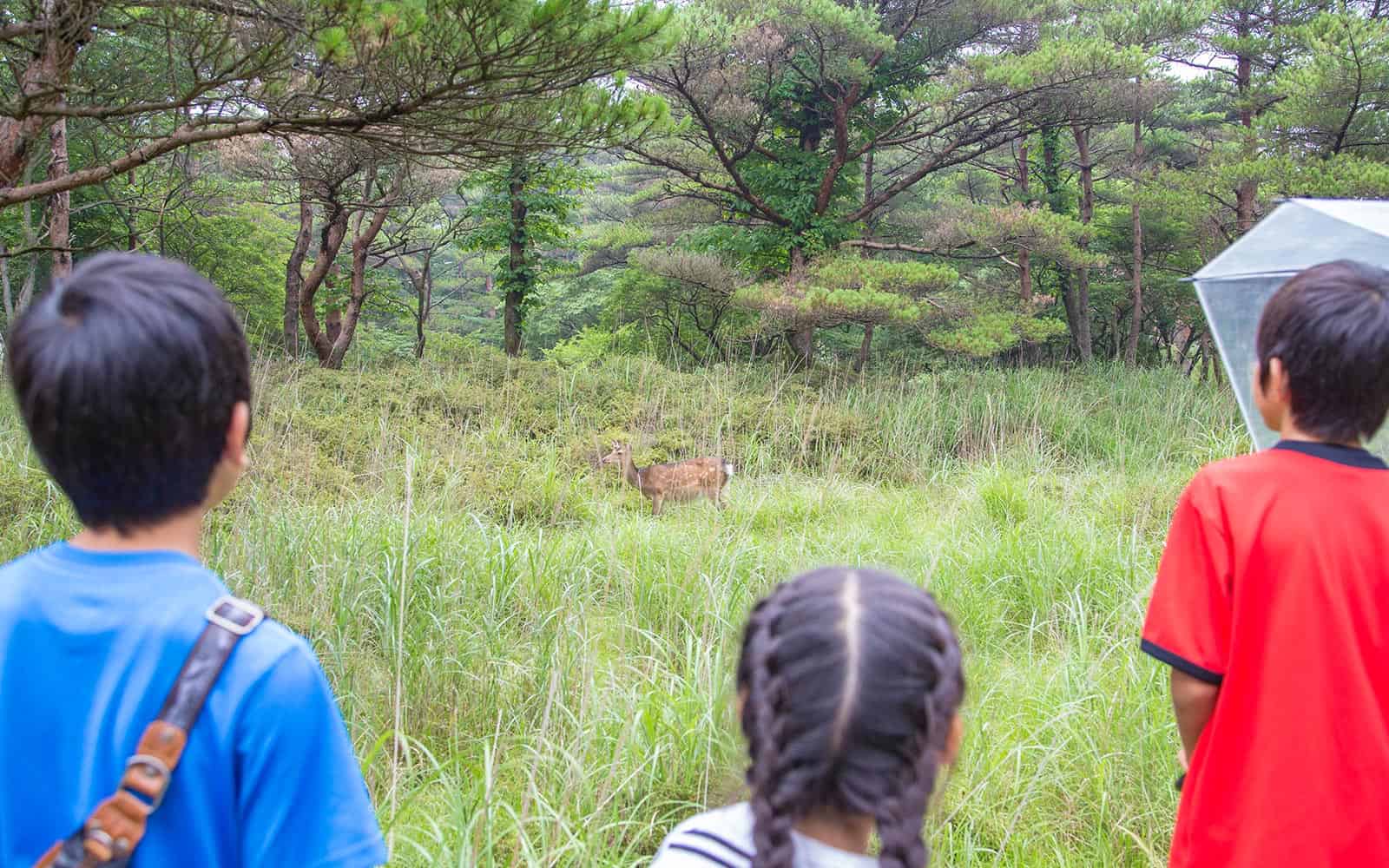 霧島観光 えびのエコミュージアムセンター